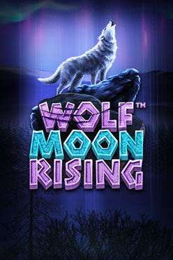 Игровой атомат Wolf Moon Rising