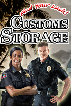 Игровой атомат Customs Storage